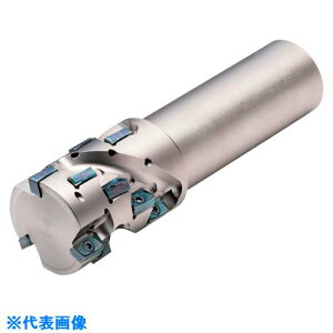 �����Z�� �w���J���G���h�~��MEWH �G���h�~�� MEWH025S251032TXT(1126333)[�����ʓr�����ς�][�@�l����][�f�O���]