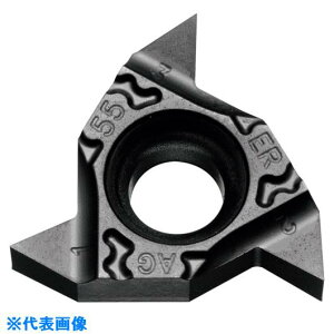 �����Z�� �O�a�˂��؂���H�p�`�b�v (�ėp55°�AG(PF)�AR(PT)(BSPT)�A�E�B�b�g�˂�(W) PR1215 16ERAG55TF(PR1215)(1129512)×5[�����ʓr�����ς�][�@�l����][�f�O���]
