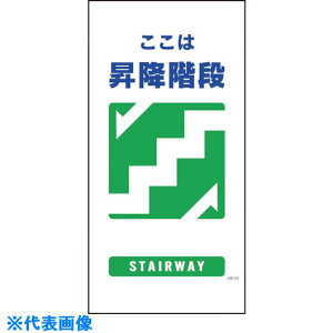 O[NX }KW GE-24 ~Ki 1146110324(1214956)[ʓrς][@lEƏ][fO]