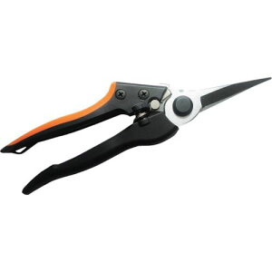 i OXt@Co[  701331(1222580)[ʓrς][@l][O]