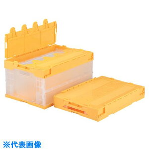 TR[ t^̌^܂肽݃Rei[ 553150 TNbgIRL41B-B SKSOL41BBTMYE(1237486)[ʓrς][@lEƏ][O]