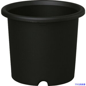 IRIS 227765 e O[ 10 4768(1263501)[ʓrς][@l][fO]