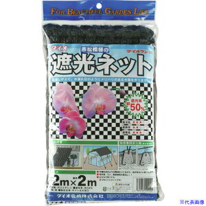 Dio _CI50  2m×2m 415125(1272877)×12[ʓrς][@lEƏ][fO]