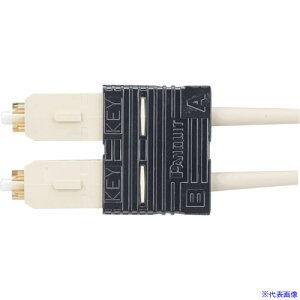 PANDUIT ςSCRlN^ fvbNX OM1 AC{[ FSC2DMC6EI(1289202)×10[ʓrς][@l][[J[]