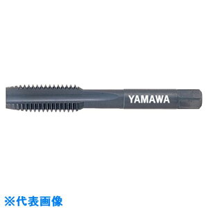 } XeX|pnh^bv SU-HT P2 M6X1 4P SUHTM62(1331477)