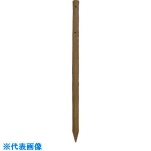 匤 [؍Y55X600x[W  G5506BEA(1347457)[ʓrς][@l][O]