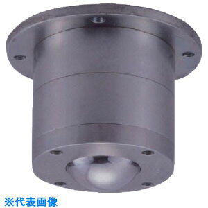 FREEBEAR t[xA ؍Hip C|24D C24D(1351496)[ʓrς][@l][O]