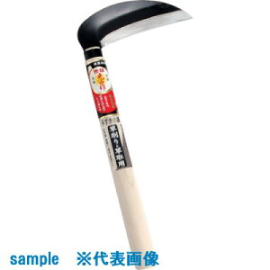 L R쏬p HT0977(1351905)[ʓrς][@l][O]