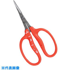 `J}T XeXԂǂ B500S(1357757)[ʓrς][@l][fO]