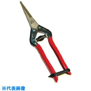 `J}T XeX E T55SH(1357767)[ʓrς][@l][fO]