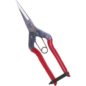 `J}T XeX T550S(1357779)[ʓrς][@l][fO]