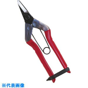 ���`�J�}�T �̉��� S200(1357781)[�����ʓr�����ς�][�@�l����][�f�O���]