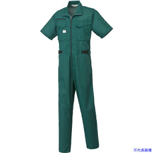 AUTO-BI Ȃ1070-010O[-5L 10700105L(1371080)[ʓrς][@l][fO]