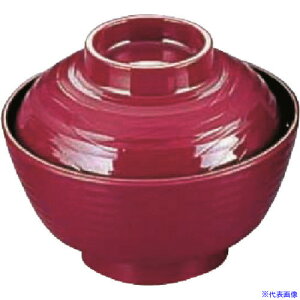 TKG ~ؖڋzo  767F|TB W RSIE202(1377235)[ʓrς][@l][fO]