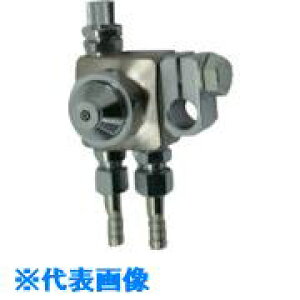 }K ~iXv[K DS-1R6^ 3.0 (ې) DS1R6(1384558)[ʓrς][@l][O]