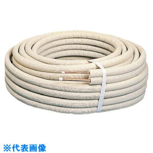  GAR`[u (Egp̃GARzǗp핢) BWG2024(1390586)[ʓrς][@l][fO]