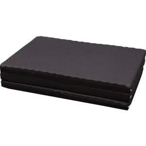 IRIS 530479 GAE^2w}bgX MTRNS(1390837)[@l][O]