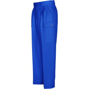 ACgX J[Spc(2^bN) Cu[ 76 556400676(1393597)[ʓrς][@lEƏ][fO]