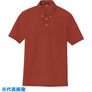 ACgX z(N[RtH[g){^_E|Vc(jp) bh 6L 105990096L(1430012)[ʓrς][@l][fO]