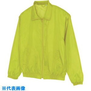 ACgX bVu](jp) CG[ M 50102019M(1439214)[ʓrς][@lEƏ][fO]