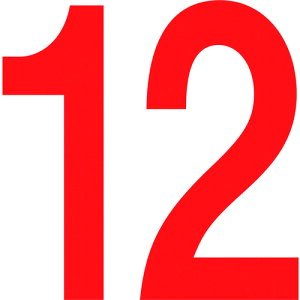 ���O���[���N���X �ʂ�c�W��300�p 12 6300000224(1456576)[�����ʓr���ς�][�@�l�E���Ə�����][�O����]