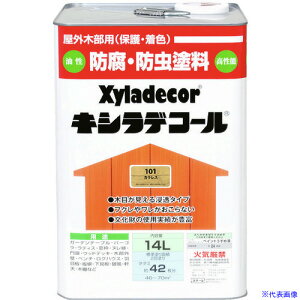 KANSAI LVfR[ JX 14L 00017670100000(1528842)[ʓrς][@l][[J[]