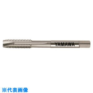 �����}�� ���ޗp�|�C���g�^�b�v PM�|PO P5 M30X3.5 PMPOP5M30X3.5(1533354)