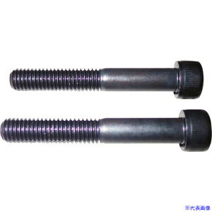 ��HASCO CP�|93DX�|19 �L���b�v�X�N�����[ M8X55L(2�P1�Z�b�g) CP93DX19(1593058)[�����ʓr�����ς�][�@�l����][���[�J�[���]