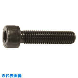 RmG Zpt{gS˂ M12x50(40{) CS1250(1596286)