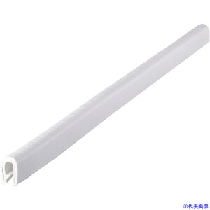 IWATA g 100V[YTPE 40M 100-48-W-5T-L40(1719600)[@l][O]