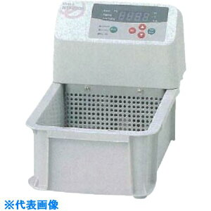  P NTT|2000 NTT2000(1766752)[ʓrς][@l][O]