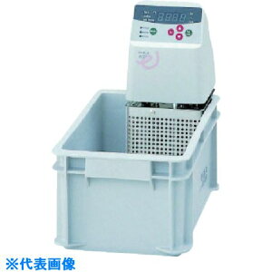  ݎP NTT|2100 NTT2100(1767351)[ʓrς][@l][O]