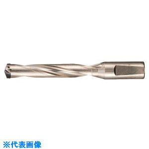 ��GUHRING �n����������d�h�����z���_5×D�p 17.01�`17.99mm 524317.990(1804245)[�����ʓr�����ς�][�@�l����][�f�O���]
