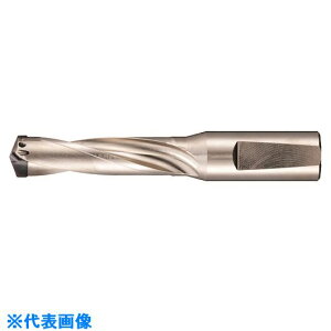 ��GUHRING �n����������d�h�����z���_3×D�p 27.51�`29.50mm 524229.500(1804268)[�����ʓr�����ς�][�@�l����][�f�O���]