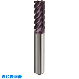 ��GUHRING 6���n�G���h�~�� Power mill ���M����FIRE�R�[�g 5mm 199725.000(1814083)[�����ʓr�����ς�][�@�l����][�f�O���]
