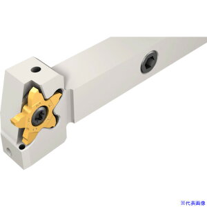 ���C�X�J�� �y���^�J�b�g PCHR2024JHPLHS(1827407)[�����ʓr�����ς�][�@�l����][�f�O���]