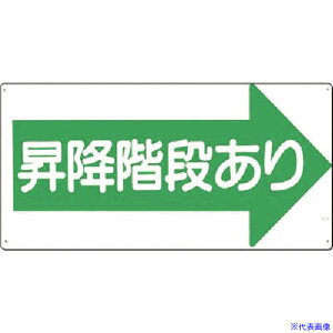  SWm~KinE 21R(1833576)[ʓrς][@lEƏ][fO]