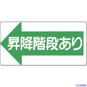  SWm~Kin 21L(1851030)[ʓrς][@lEƏ][fO]