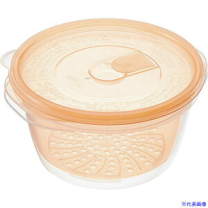 TKG iwasaki 䥂łܖؒe ی^ A-048(YO) AYD2301(1887036)[ʓrς][@lEƏ][fO]