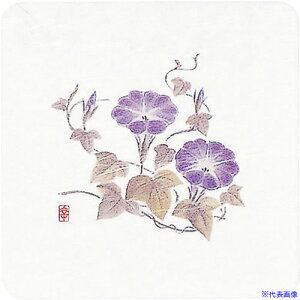 TKG A[ebN aR[X^[lGp(50) WCO-K6  PKCH3(1922383)[ʓrς][@lEƏ][fO]