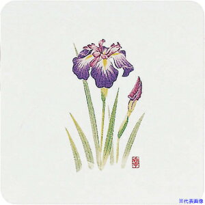 TKG A[ebN aR[X^[lGp(50) WCO-K4  PKCH2(1922416)[ʓrς][@lEƏ][fO]