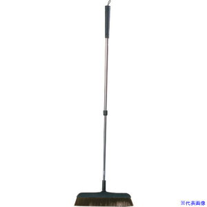 TKG H cz[L ݐLk KHC3101(1923573)[ʓrς][@lEƏ][fO]