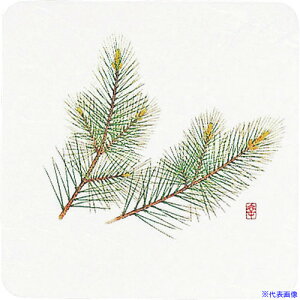 TKG A[ebN aR[X^[lGp(50) WCO-K1  PKCJ5(1924038)[ʓrς][@lEƏ][fO]