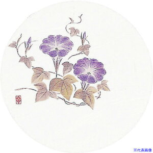 TKG A[ebN aR[X^[lG(50) WCO-M6  PKCK3(1927204)[ʓrς][@lEƏ][fO]