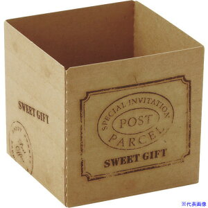 ��TKG �V������ �L���[�u�J�b�v �E�b�f�B�[(100����) 60 CB22 WKY2501(1934834)[�����ʓr�����ς�][�@�l����][�f�O���]