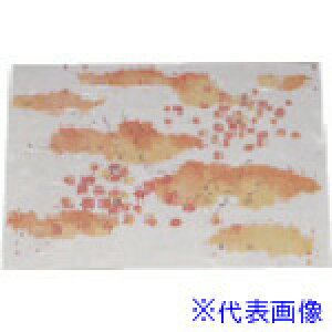 TKG A[ebN ڌ܂܂ Í(100) ݂ KSG-18 QMT68(1944526)[ʓrς][@lEƏ][fO]