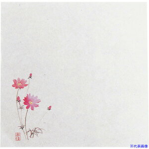 TKG }C ϖ~18p(100) H M30-225 QTI13(1945219)[ʓrς][@lEƏ][fO]