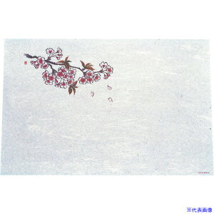 TKG A[ebN ԍRۘa 3܂(100)  WS-9 QMT26(1947009)[ʓrς][@lEƏ][fO]