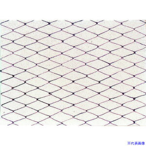 TKG }R[ ԕۑN  (100)  QHS08(1947411)[ʓrς][@lEƏ][fO]