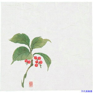 ��TKG �A�[�e�b�N �j���[�l�G���� 4��(100����) NS-15 ����傤 QKIF401(1947590)[�����ʓr���ς�][�@�l�E���Ə�����][�f�O���]